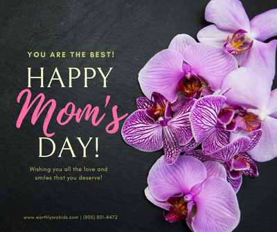 To all the MOM's, Happy Mom's Day!