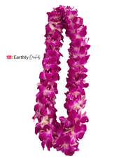 orchid lei, flower lei, graduation flowers, graduation lei, orchids, orchids, orchid, orchid plant, cut orchid by earthly orchids, Hawaiian lei