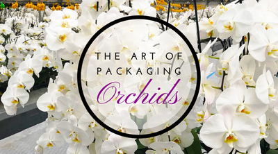 How do we package the Orchids we sell Online