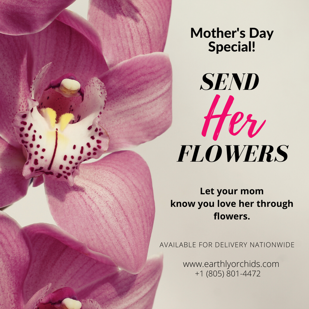 Mother discount day delivery