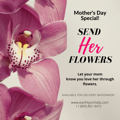 MOTHER'S DAY SPECIAL - Send her flowers
