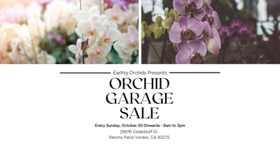 Earthly Orchids Garage Sale! Every Sunday Starting October 30