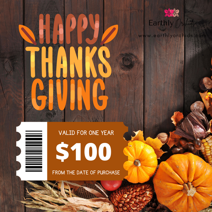 Gift Voucher - Happy Thanksgiving