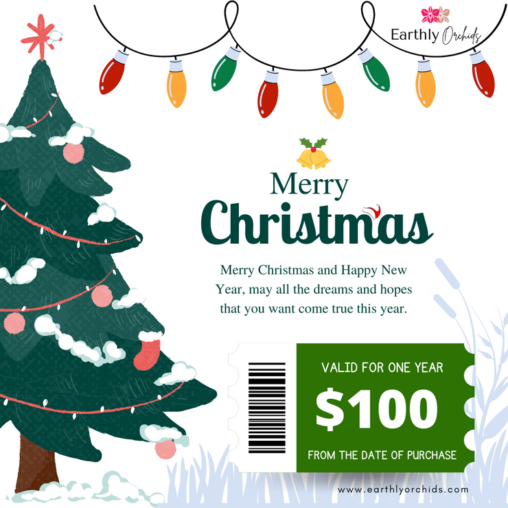 Gift Voucher - Merry Christmas