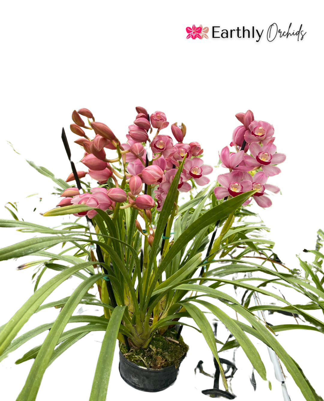 ferm living plant box alternative Ferm Living - Plant Box Two-Tier