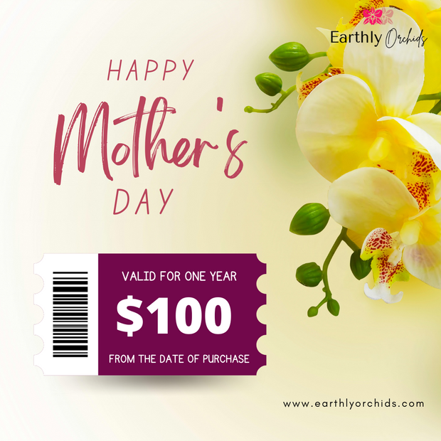 Gift Voucher - Happy Mother's Day