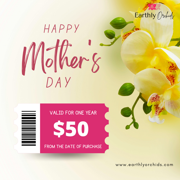 Gift Voucher - Happy Mother's Day