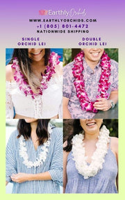 orchid lei, flower lei, graduation flowers, graduation lei, orchids, orchids, orchid, orchid plant, cut orchid by earthly orchids, Hawaiian lei