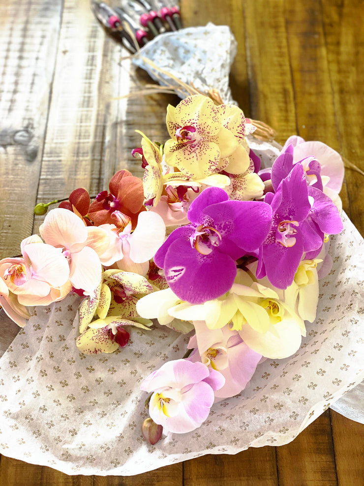 potted plant bouquet Earthly Orchids
