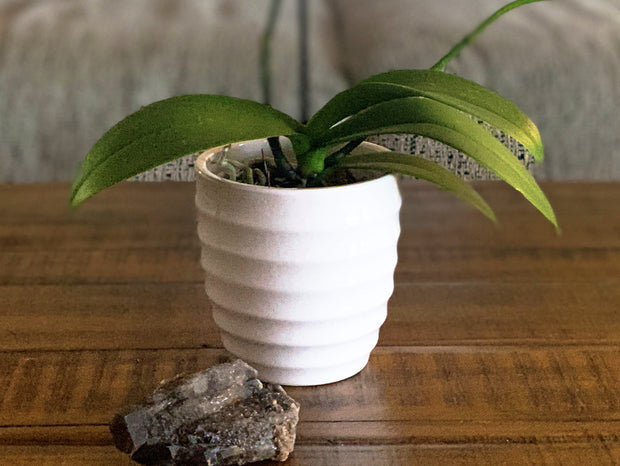 Ceramic Pot by Earthly Orchids