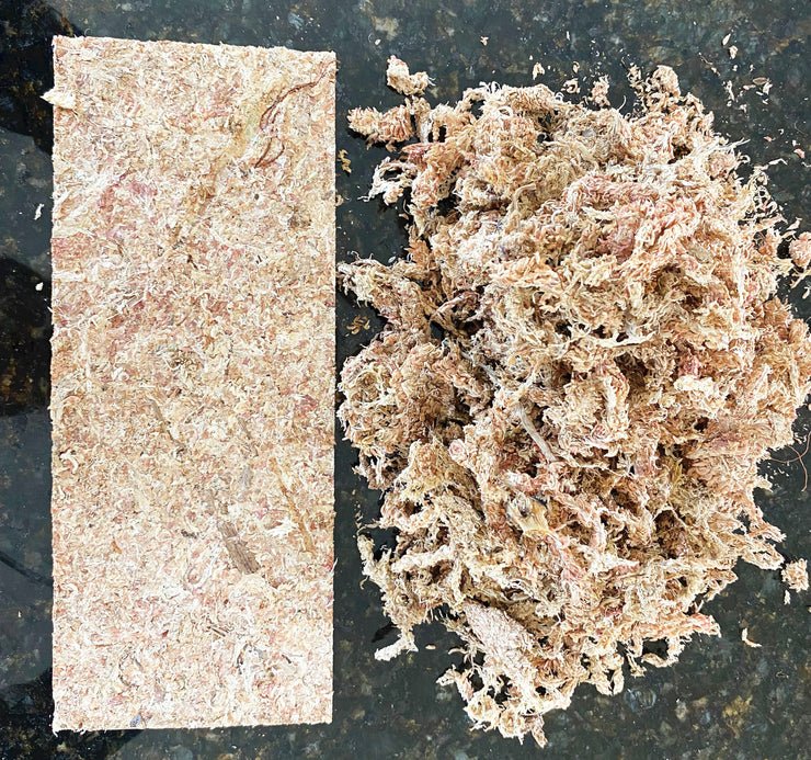 Sphagnum Moss for Plants - Orchid Sphagnum Moss Dried,Plant