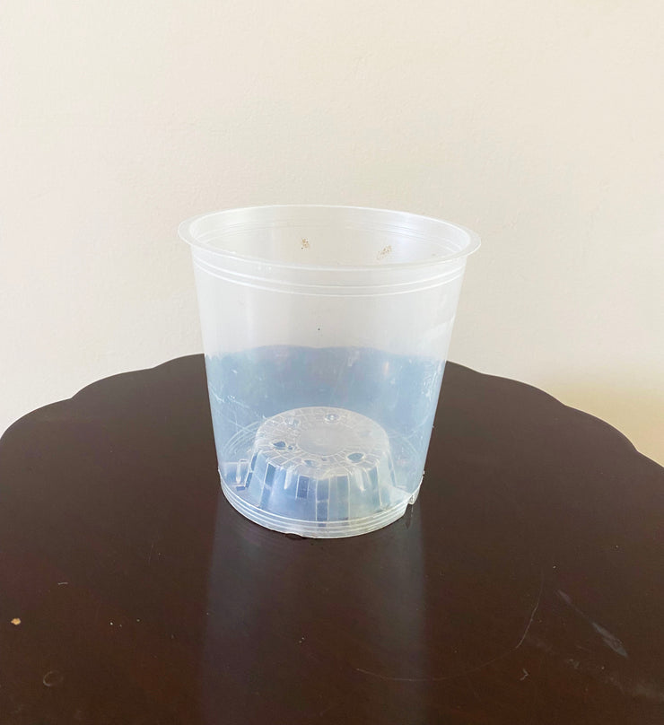 Standard Clear Plastic Pot