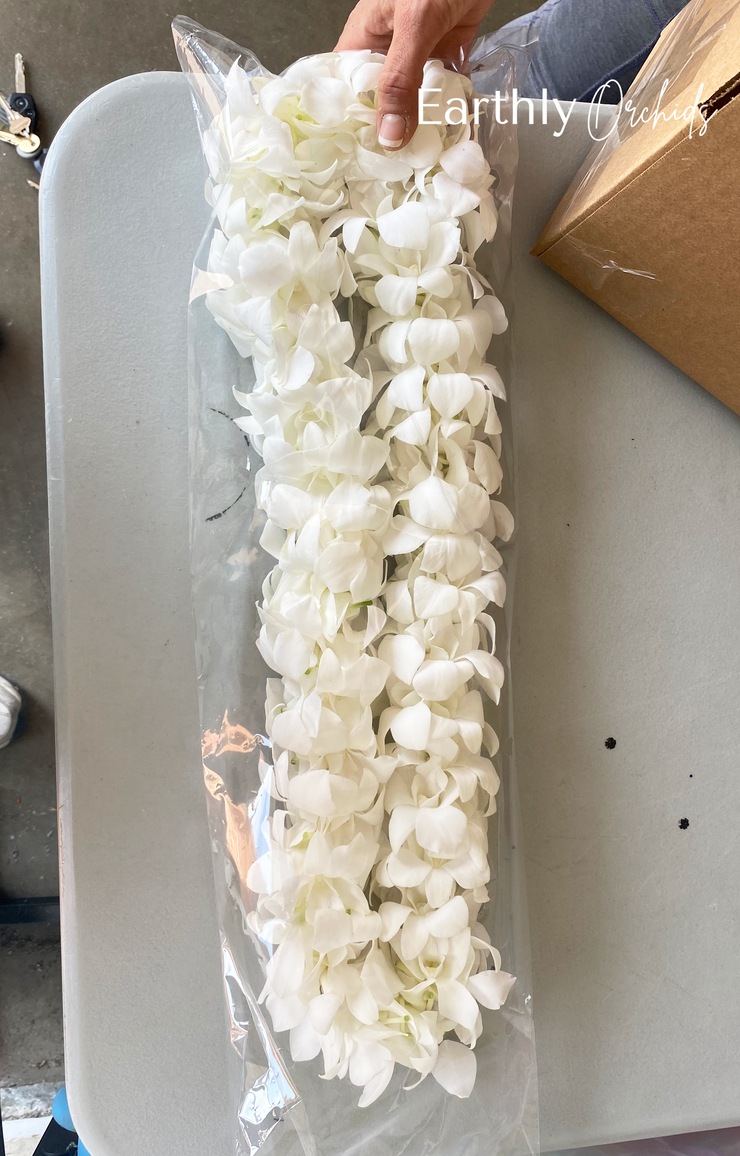 Fresh Orchid Lei's by Earthly Orchids